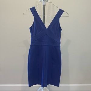 Ted Baker Blue Dress